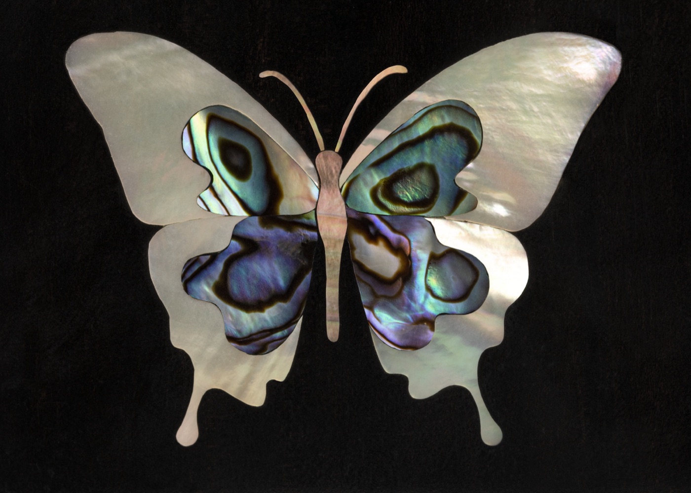 Mother-of-pearl butterfly inlay on a guitar fretboard